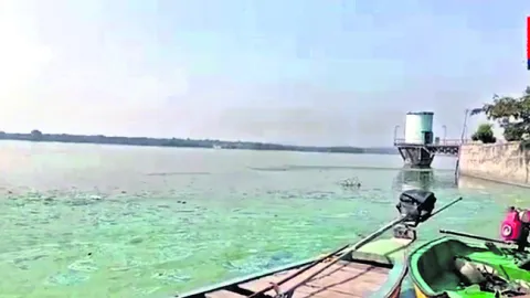 కృష్ణా తీరంలో వ్యర్థ రసాయనాలు