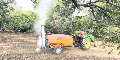 అందుబాటులోకి ‘మ్యాంగోమాస్టర్‌’