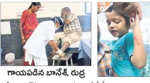 గుండె