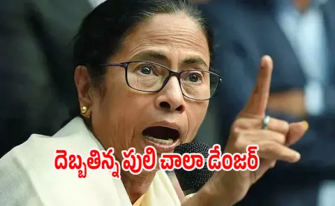 SIR controversy Mamata Banerjee Asks Women To Fight Back Over with Kitchen Tools