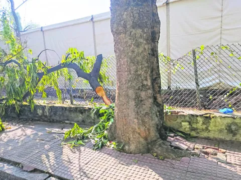 అఖిలేష్‌ సభ కోసం..ఇదేం పని ? 