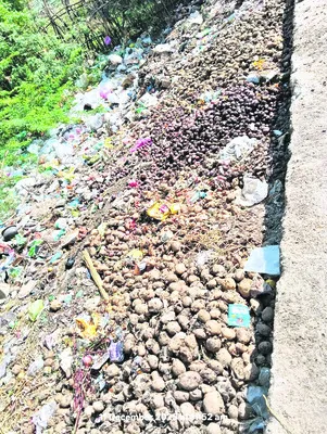 ● తుఫాన్‌ సాయం..  మానవత్వం మాయం 