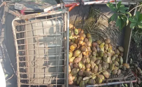 3 Were Died In Auto Accident Donepudi Bapatla District