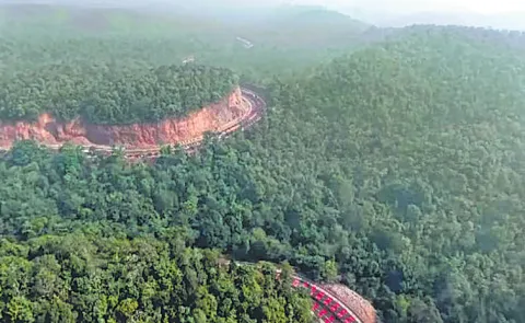 Red alert for motorists about wild animals