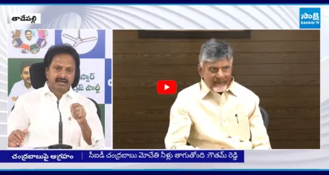 Punuru Gowtham Reddy Slams CID over Chandrababu Cases 2