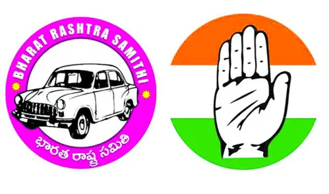 కాంగ్రెస్‌ జోరుకు.. కారు బ్రేక్‌! 