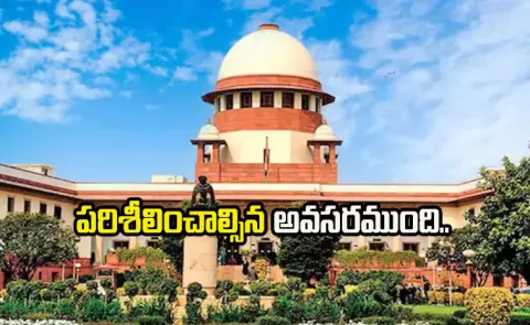Karur stampede case: Something Wrong Happening Supreme Court 