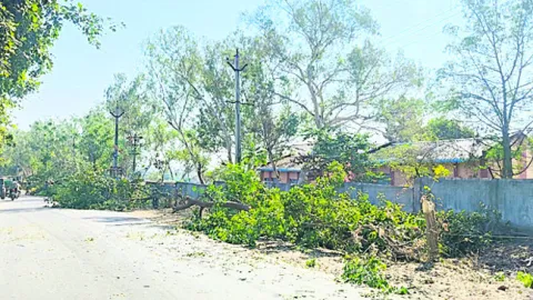 పచ్చదనం కనుమరుగు