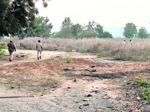 కడెం రేంజ్‌ వైపు పులి అడుగులు