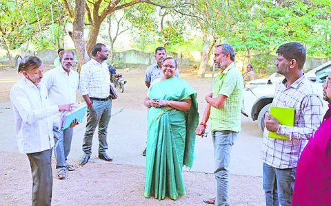 ఎన్నికలకు పకడ్బందీ ఏర్పాట్లు: కలెక్టర్‌