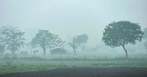 ● పడిపోతున్న ఉష్ణోగ్రతలు