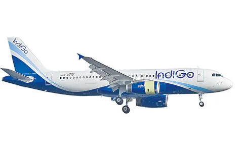 Travelers say that the government has acted beyond the expectations of the people in India