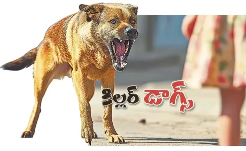 Four-year-old child serious injuries from Street dogs bite at Atmakur
