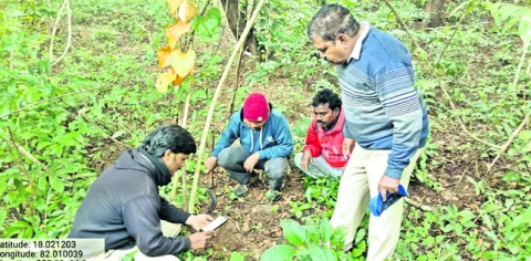 జంతు గణన ప్రారంభం