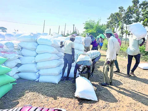 దళారుల భోజ్యం..! 