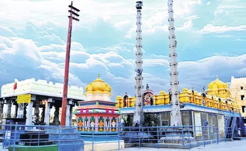 The Executive Officers are struggling under the pressure from ruling party leaders