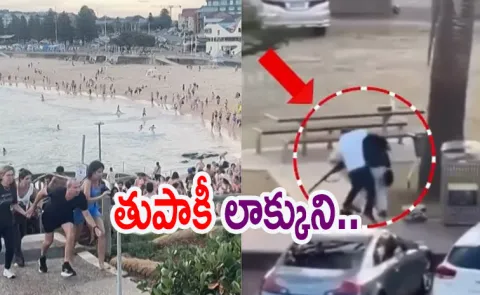 Viral Video: How An Unarmed Man Took Sydney Shooter