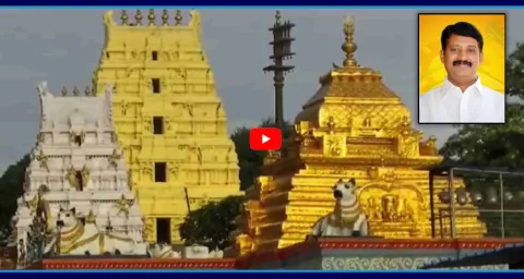 MLA Budda Rajasekhar Reddy B-Tax In Srisailam  1