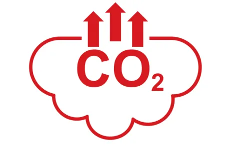 As carbon dioxide increases in the air carbohydrates are decreasing