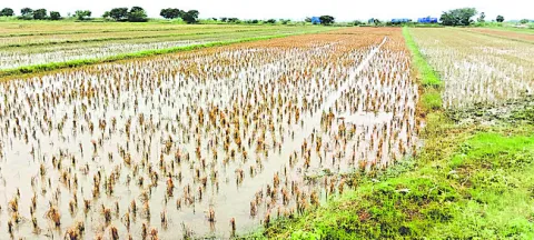 ముంచిన మోంథా..బాబు వంచన
