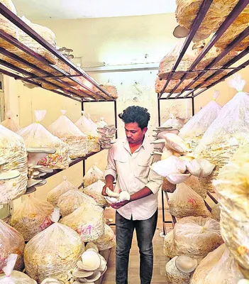 లాభాల ‘పుట్ట’