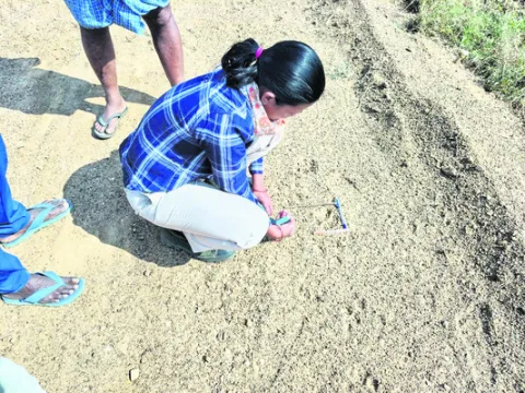 భిక్కనూరులో చిరుత పులి సంచారం 