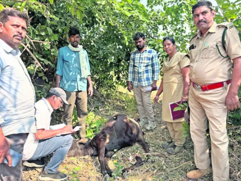 సంఘటన స్థలం పరిశీలన