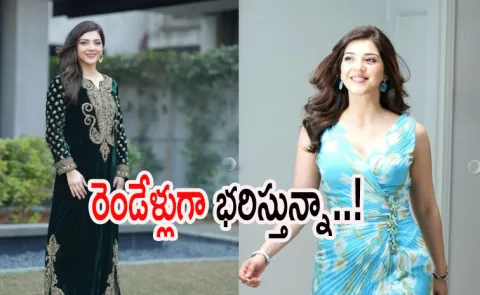 Tollywood Actress Mehreen Pirzada Reacts On Marriage Rumours6