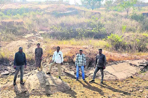 పులి ఎక్కడుంది?