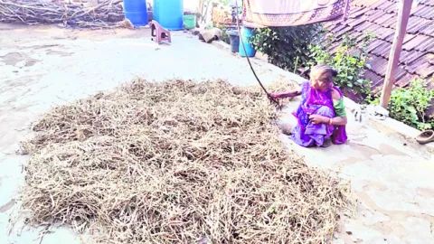 దళారులకే రాజ్‌మా! 