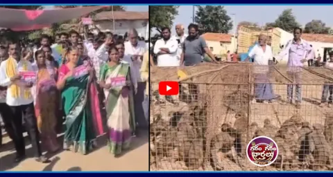 Kandikatkoor Sarpanch Fulfilled Promise Next Day After Winning Election  1