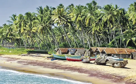 Winter Vacations Goa Kerala Emerge as Top Travel Destinations4