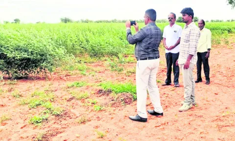 ఇదెక్కడి తిరకాసు బాబూ! 