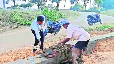 రూ.4 కోట్ల ప్రభుత్వ భూమి ఆక్రమణకు స్కెచ్‌