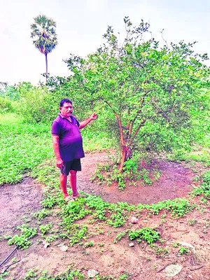 తుపాను దెబ్బతీసింది 
