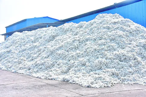 మరోసారి పత్తి ధరలో కోత