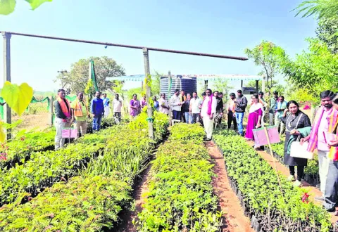 మహబూబ్‌పేటలో గుజరాత్‌ బృందం