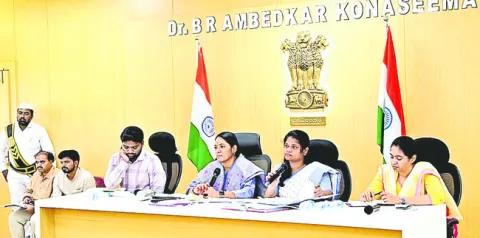 సమన్వయంతో నరసన్న కల్యాణోత్సవాలు 