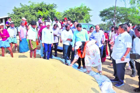 నాణ్యమైన ధాన్యాన్ని వెంటనే కొనాలి