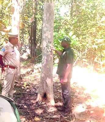 జంతుగణనకు సన్నద్ధం