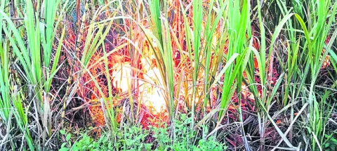 30న తపాలా అదాలత్‌   