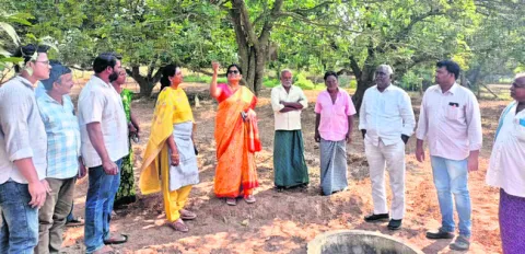 మామిడి తోటల్లో యాజమాన్య పద్ధతులు చేపట్టాలి 