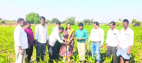 పంట మార్పిడి తప్పని సరి