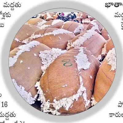 నత్తనడకన పత్తి కొనుగోళ్లు 