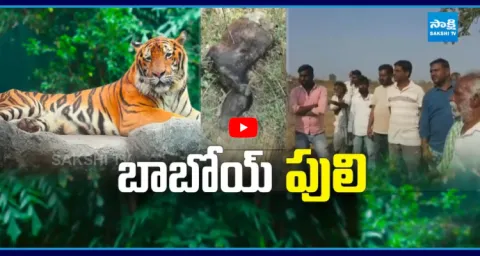 Tiger Fear In Nizamabad Kamareddy Forest 1