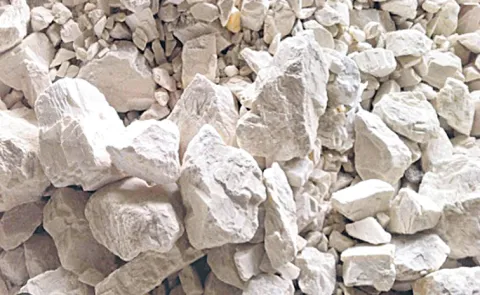 The countrys long term energy security is at risk