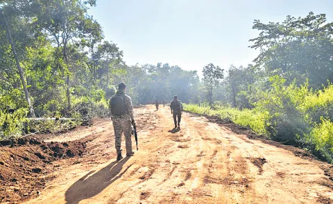 The search for truth under the shadow of surveillance