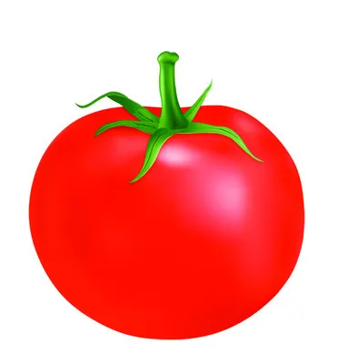 రైళ్ల ద్వారా టమాట ఎగుమతులు 