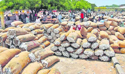 ఎకరాకు 12 క్వింటాళ్లు.. 