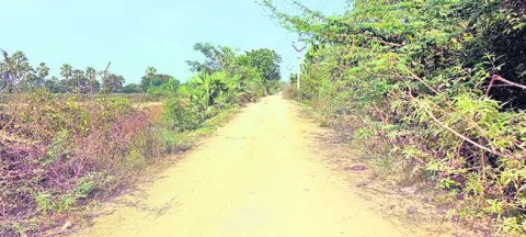 విలేజ్‌ వాయిస్‌